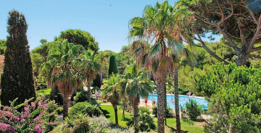 Aparthotel La badine Hyères Exterior foto